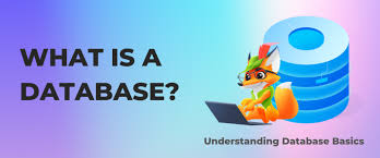 What is a Database? A Beginner's Guide to Understanding Databases
